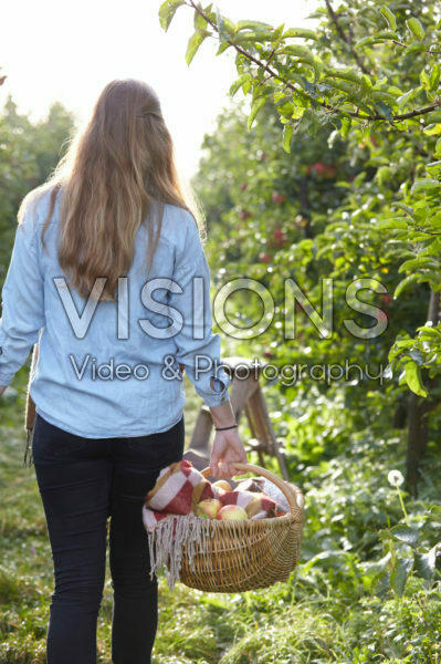 Picking fruit in orchard