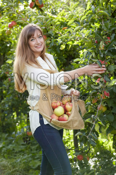 Young lady picking apples