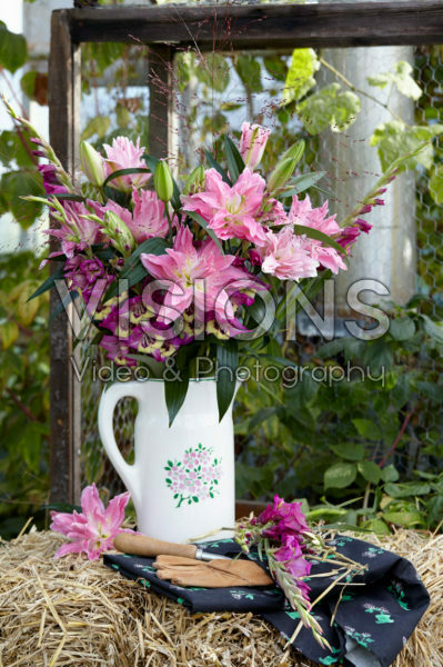 Roselily Patricia® Roselily Patricia®
