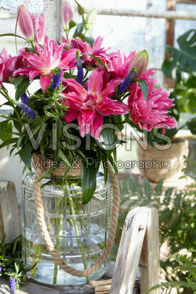 Roselily Julia®