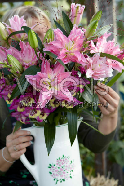 Roselily Patricia® Roselily Patricia®