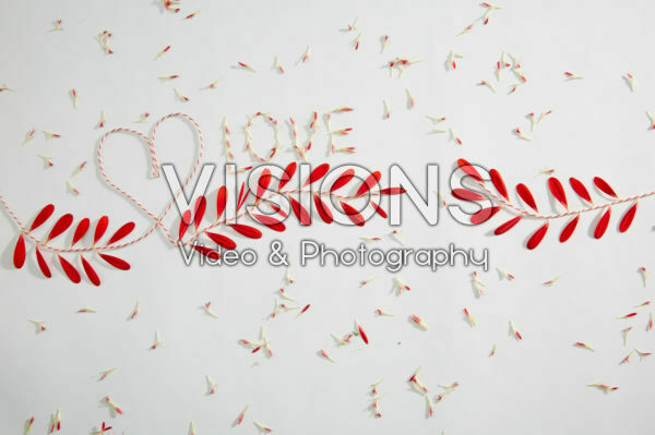 Valentijn bloemblaadjes