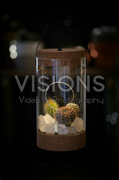Cactus combination in glass Cactus combination in glass