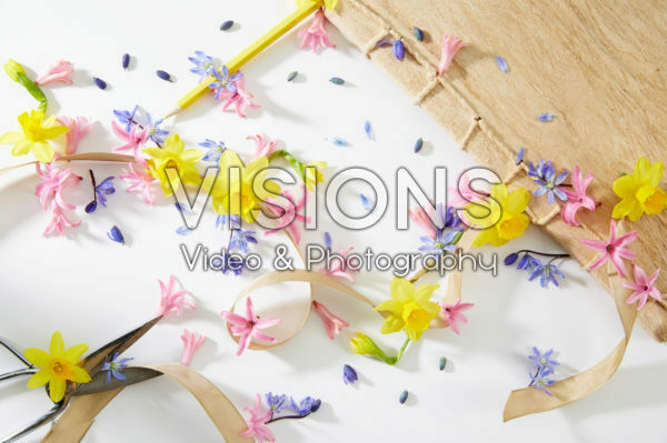 Voorjaarsbloemen collage