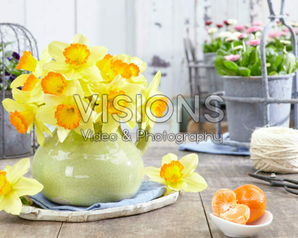 Daffodils in vase