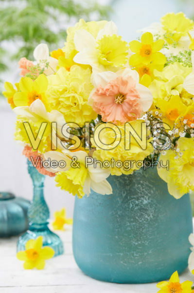 Narcissus mix Narcissus mix