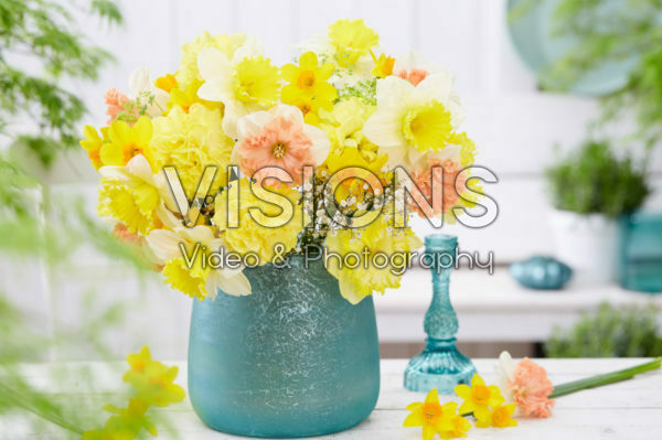 Narcissus mix Narcissus mix