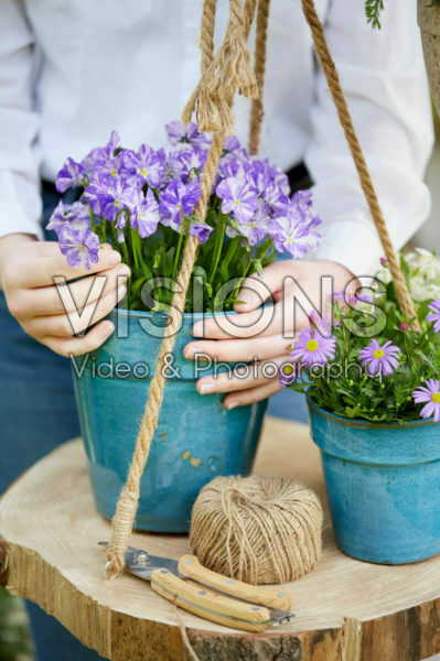 Voorjaarsbloemen op pot