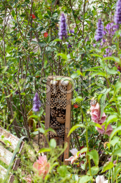 POLLINATOR-FRIENDLY PLANTS