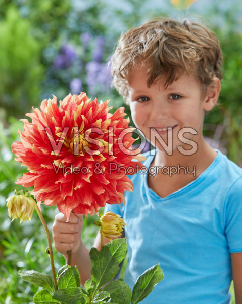 Boy with Dahlia Bodacious flower
