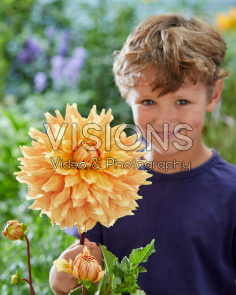 Boy with Dahlia Ben Huston flower