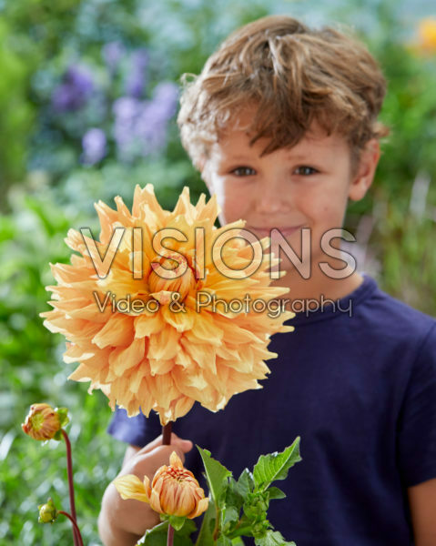 Boy with Dahlia Ben Huston flower