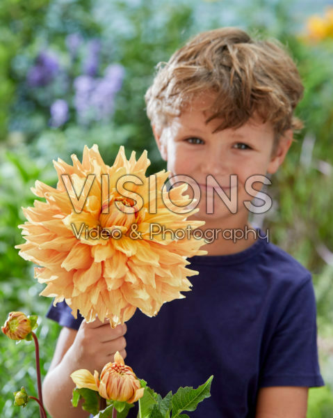 Boy with Dahlia Ben Huston flower