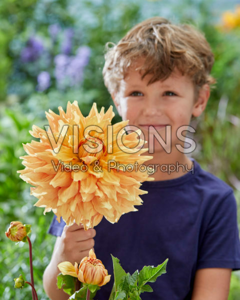Boy with Dahlia Ben Huston flower