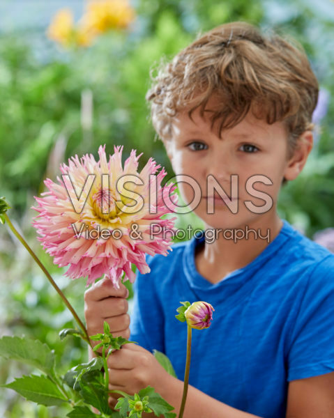 Jongetje met Dahlia Nenekazi bloem Jongetje met Dahlia Nenekazi bloem