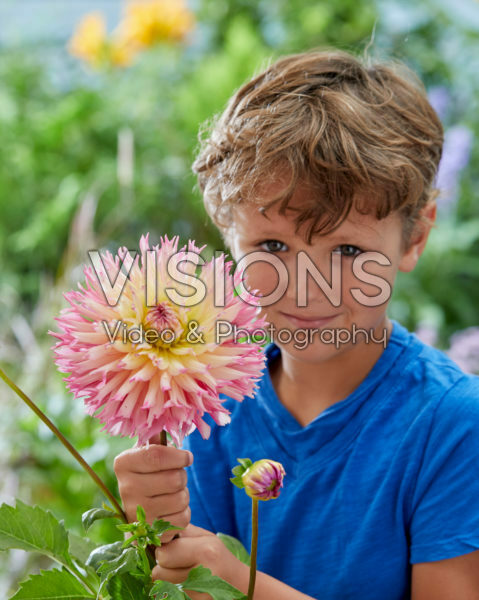 Boy with Dahlia Nenekazi flower Boy with Dahlia Nenekazi flower