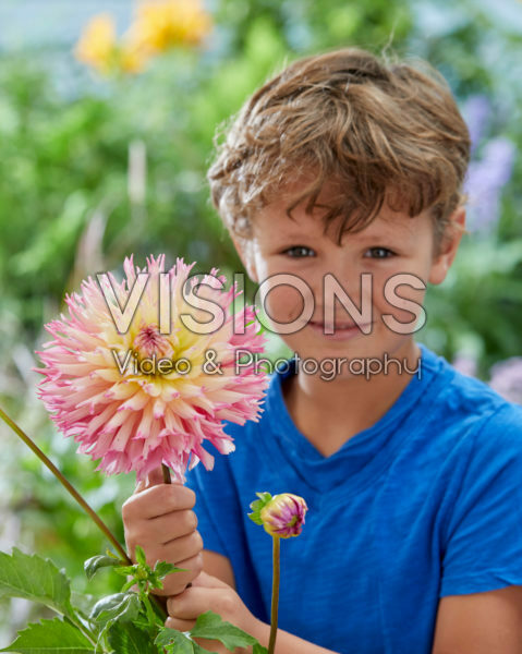 Jongetje met Dahlia Nenekazi bloem Jongetje met Dahlia Nenekazi bloem