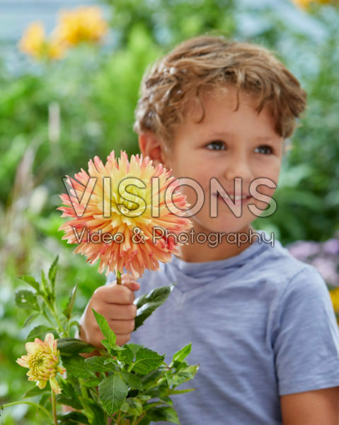 Boy with Dahlia Felida Solar Flair flower