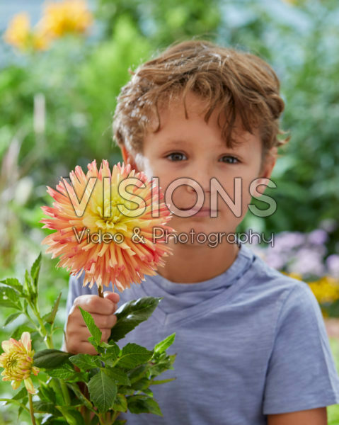 Jongetje met Dahlia Felida Solar Flair bloem Jongetje met Dahlia Felida Solar Flair bloem