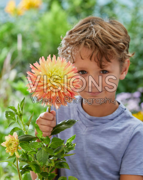 Boy with Dahlia Felida Solar Flair flower