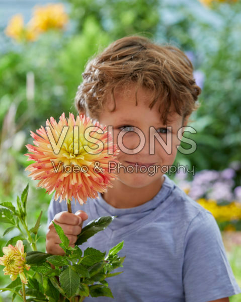 Boy with Dahlia Felida Solar Flair flower