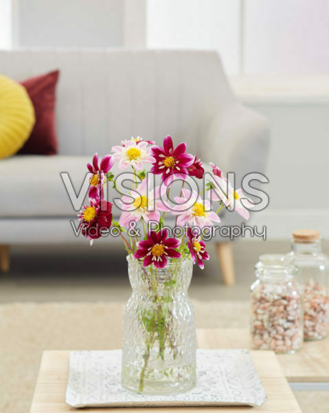 Dahlia bouquet Dahlia bouquet