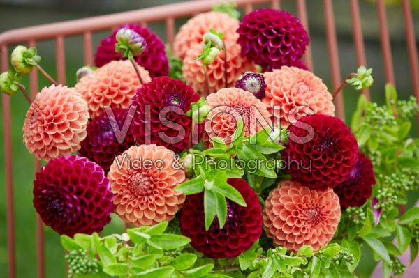 Dahlia boeket Dahlia boeket