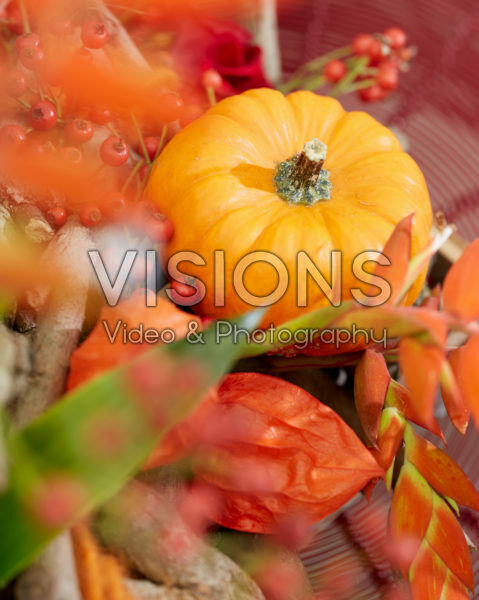 Floral arrangement Floral arrangement