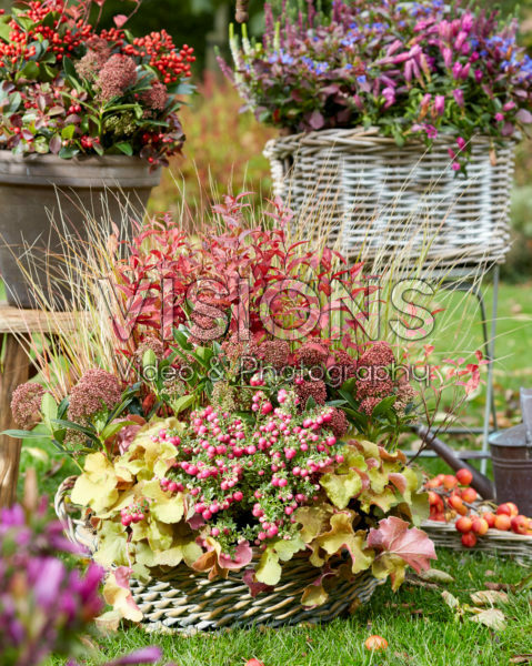 Autumn collection Autumn collection