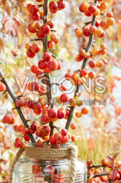 Crab apples in vase Crab apples in vase