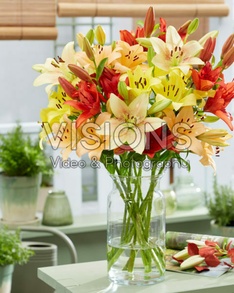 Lilium bouquet Lilium bouquet