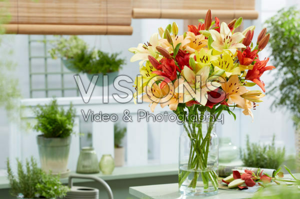Lilium bouquet Lilium bouquet