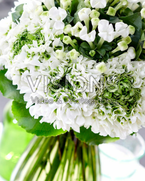 Bouvardia White Sensation, Ranunculus Pon Pon Iglo
Bouvardia White Sensation, Ranunculus Pon Pon Iglo