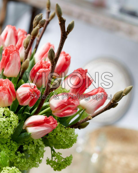 Bouquet Tulipa Lingerie, Viburnum opulus Roseum Bouquet Tulipa Lingerie, Viburnum opulus Roseum