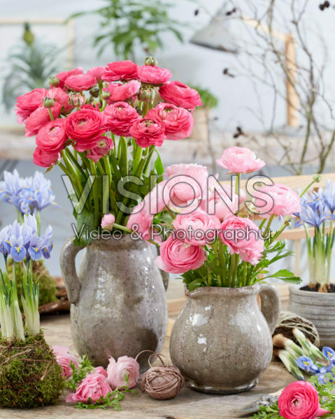 Ranunculus bouquets Ranunculus bouquets
