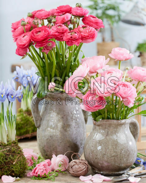 Ranunculus boeketten Ranunculus boeketten