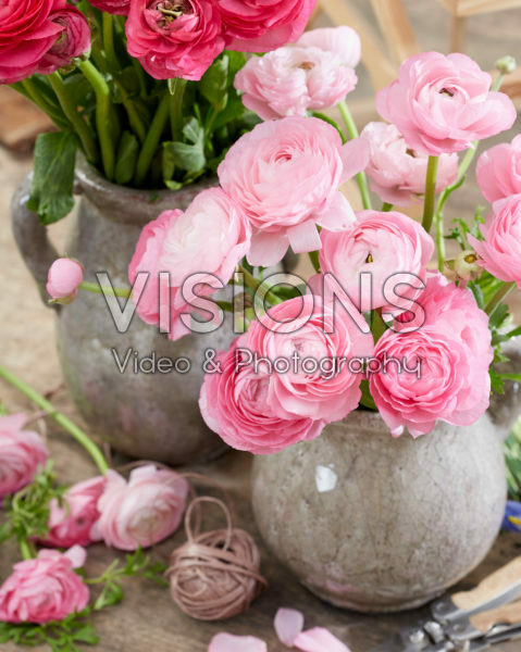 Ranunculus boeketten Ranunculus boeketten