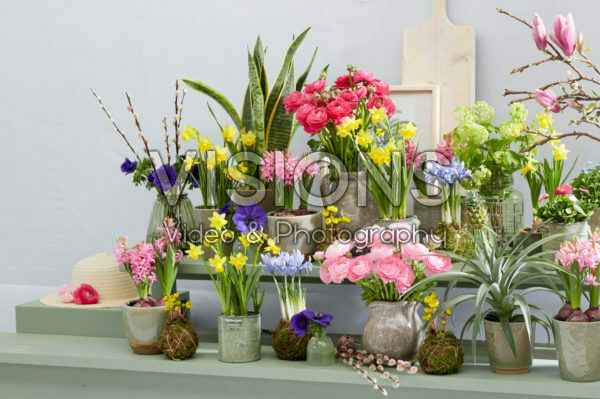 Spring collection