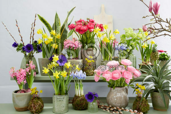 A TASTE OF SPRING