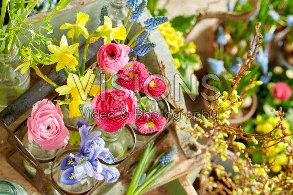 Spring flowers Spring flowers
