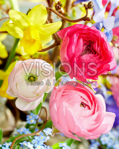 Spring flowers Spring flowers