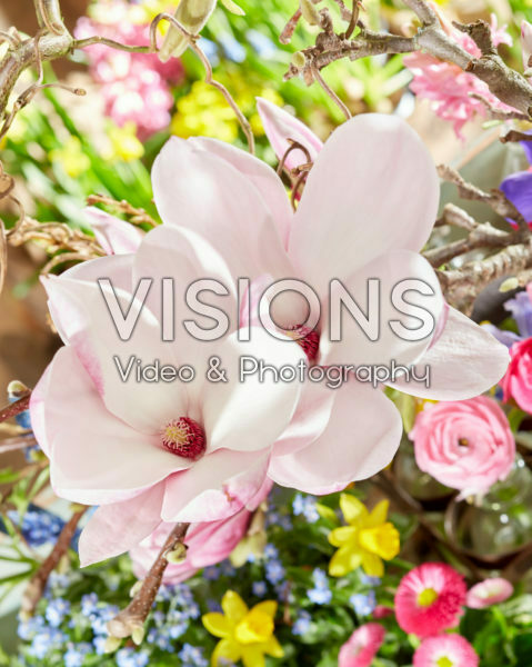 Voorjaarsbloemen Voorjaarsbloemen