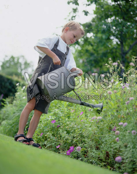 Boy watering geranium