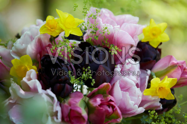 Voorjaarsbloemen gemengd