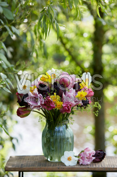 Voorjaarsbloemen gemengd