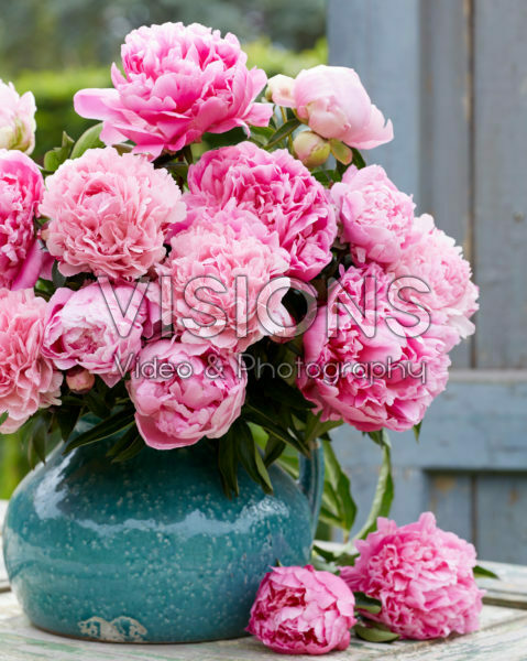 Paeonia fluffy pink bouquet Paeonia fluffy pink bouquet
