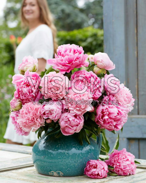 Paeonia fluffy pink bouquet Paeonia fluffy pink bouquet