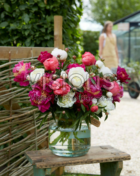 Paeonia pink and white bouquet