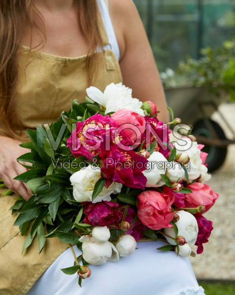 Paeonia pink and white bouquet Paeonia pink and white bouquet
