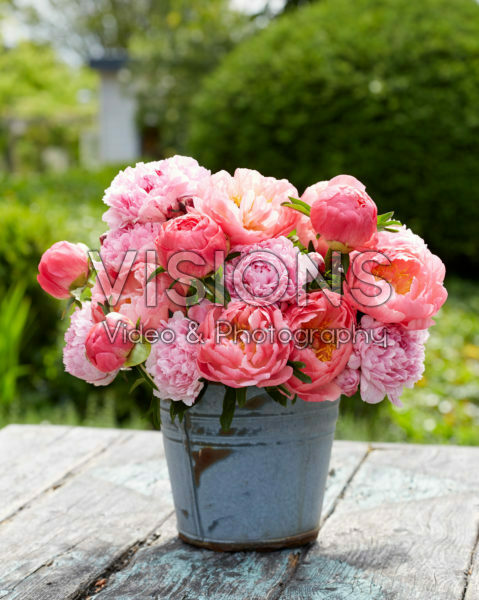Paeonia pastel boeket Paeonia pastel boeket